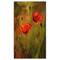 Designart - Watercolor Poppy Flowers - Floral Art Canvas Print